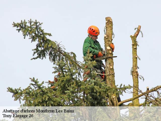 Abattage d'arbres  montbrun-les-bains-26570 Tony Elagage 26